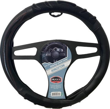 Praxis Mbrojtes i Timonit Kingston