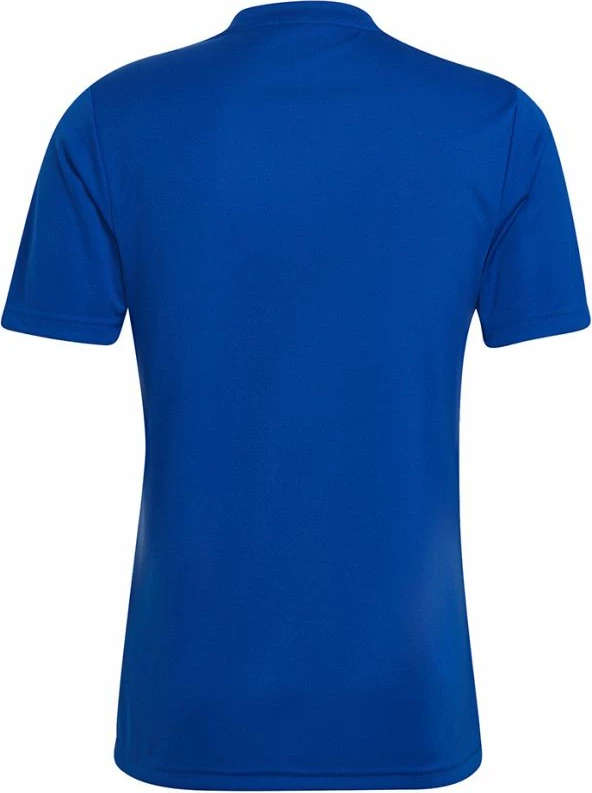 Fanellë adidas për meshkuj, blu [Madhësia: S]