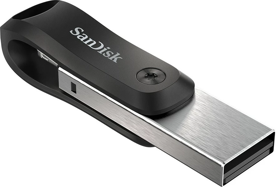USB SanDisk iXpand Flash Drive Go, 256 GB, USB 3.2 Gen 1, Gri, Argjend