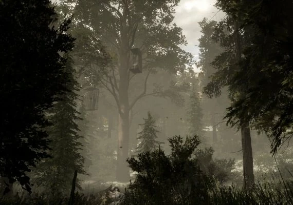 The Woods: VR Escape the Room EN Global