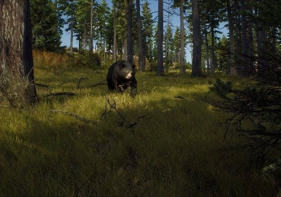 Way of the Hunter Elite Edition Global