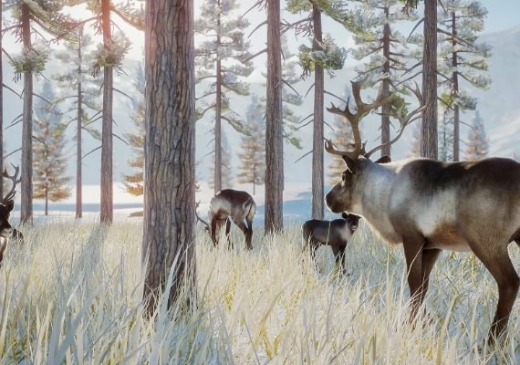 Planet Zoo - Arctic Pack Global