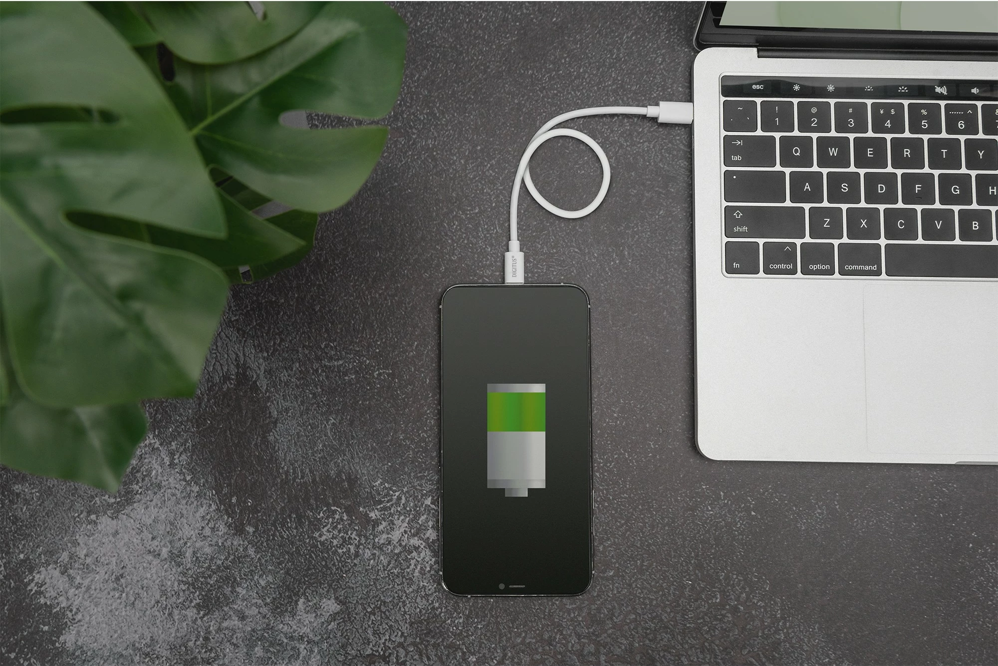 Kabllo USB-C në Lightning Digitus 2m, e bardhë