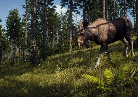 Way of the Hunter Elite Edition Global