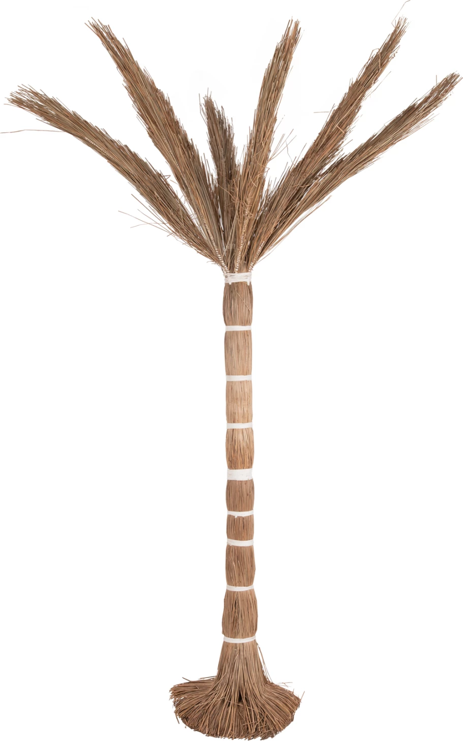 Pemë dekorative tropike, stil kokosi, FH4324, bar Mendong, 280Hcm