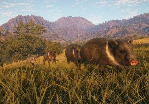 theHunter: Call of the Wild - Rancho del Arroyo DLC Global