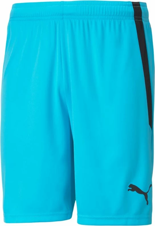 Shorce për meshkuj Puma, blu
