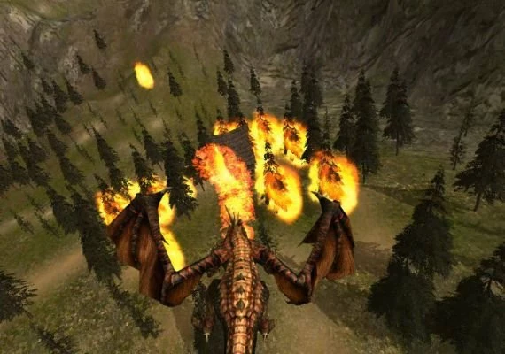 Dragon: The Game EN Global