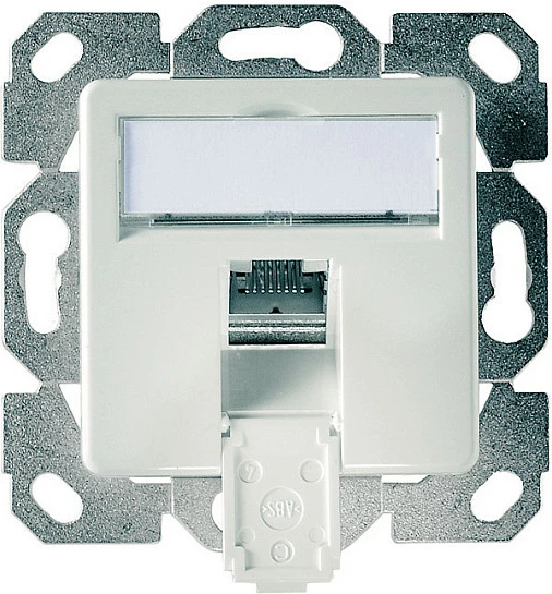 Prizë rrjeti Telegärtner AMJ45 8 KUp/50, Cat.6A RJ45, alpin e bardhë