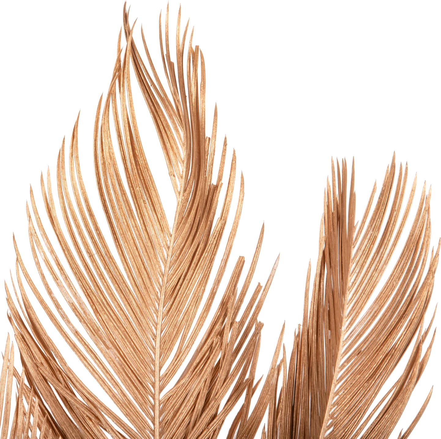 Set dekorativ me 3 gjethe të thara palme FH7958, ngjyrë ari, 110 cm