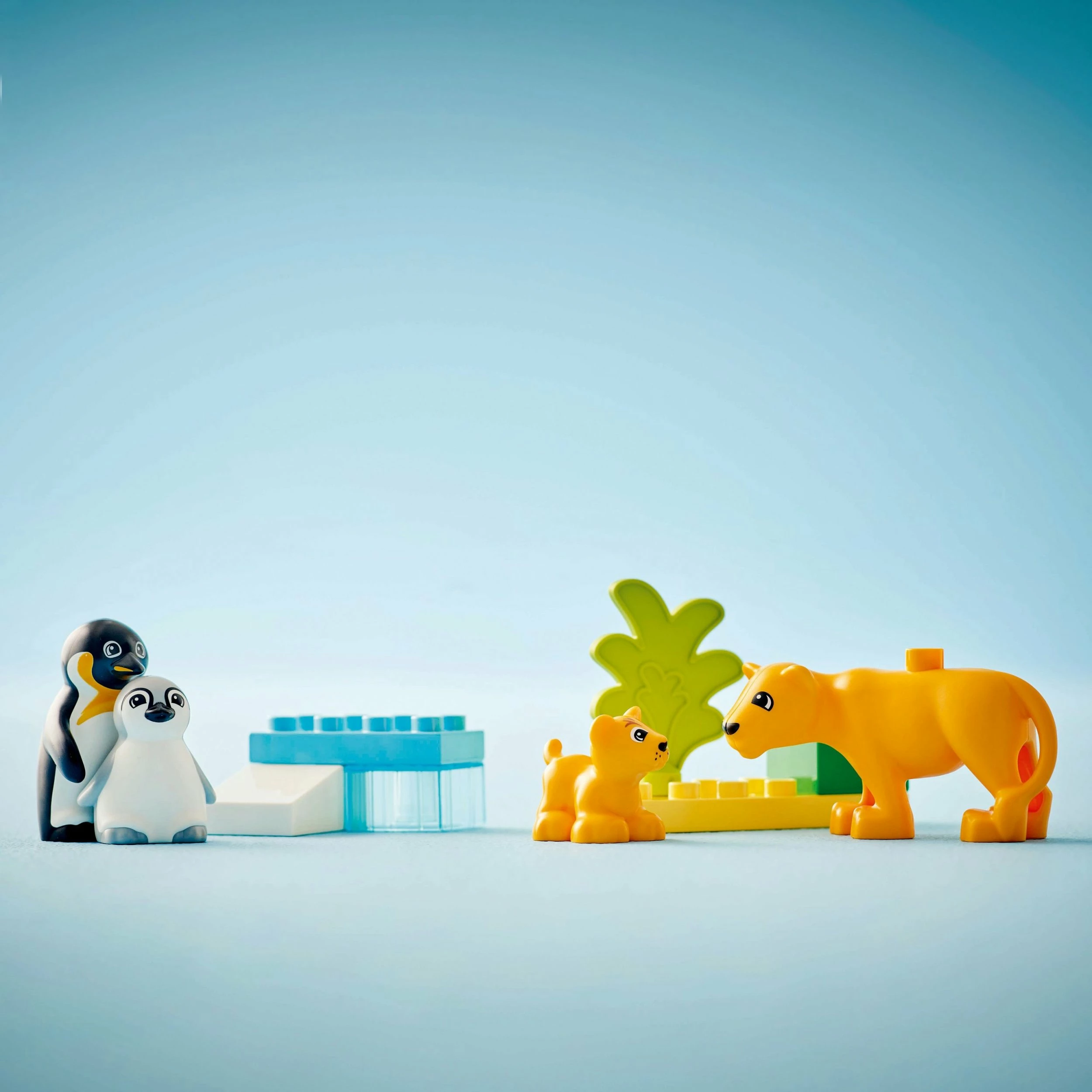 Set LEGO DUPLO Wild Animal Families 10442, 10 copë, për 2+ vjeç, me pinguinë dhe luanë