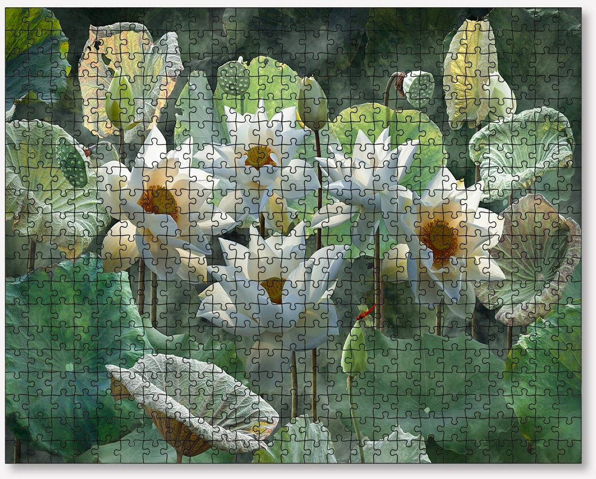 Puzzle 1000 copa, Evila Originals, PZL_0124_1000, shumëngjyrësh