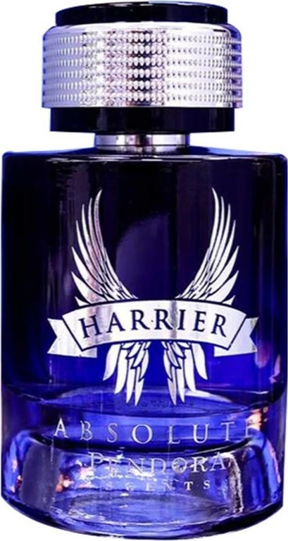 Eau de Parfum për meshkuj Pendora Scents Harrier Absolute 100ml