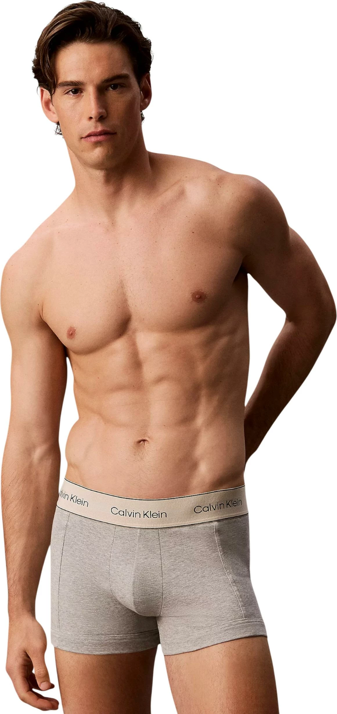 Të brendshme trunk për meshkuj Calvin Klein Underwear TRUNK 3PK LV00NB4446, zi-gri [Madhësia: S]