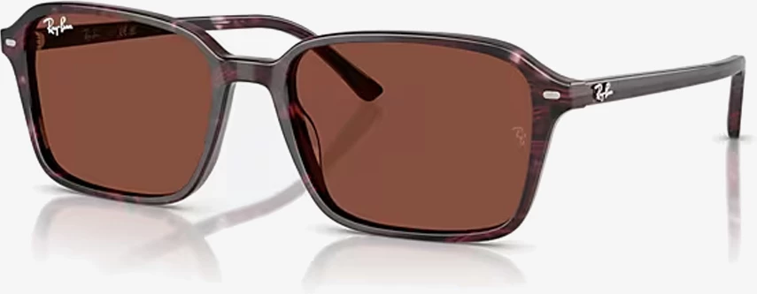 Syze dielli Ray-Ban RB2231 1416C5 58