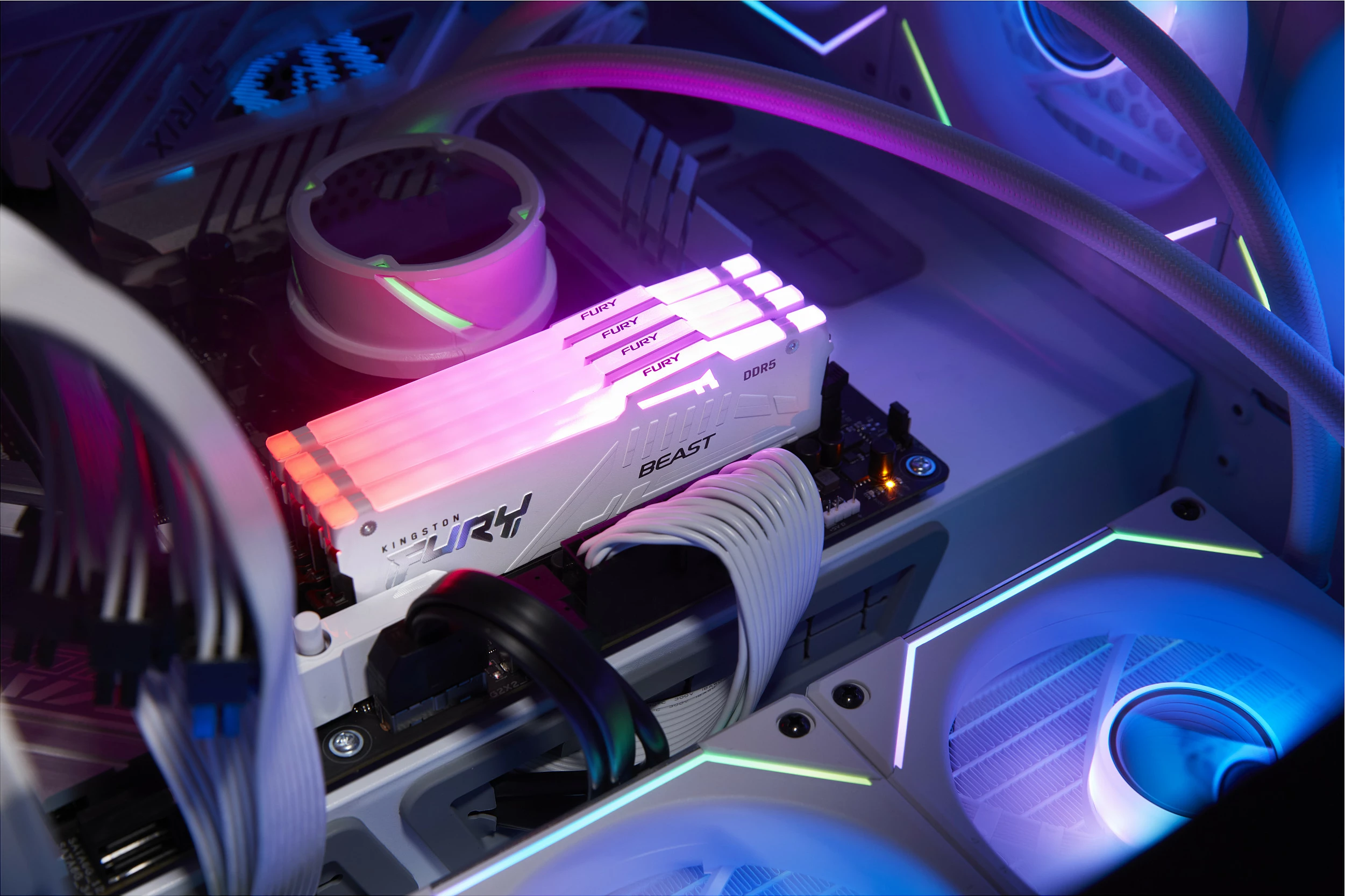 RAM Memorje Kingston FURY Beast 32GB 6000MT/s DDR5 RGB Bardhë