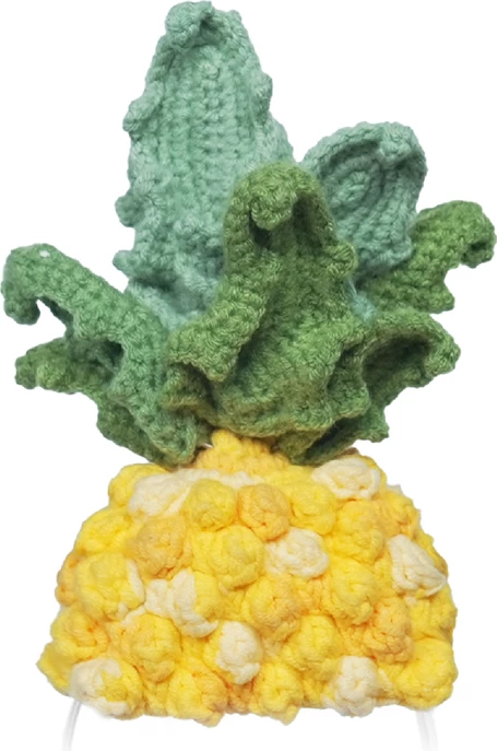 Kostum i thurur Loona Premium 99904CK00017 Pineapple, verdhë/jeshile