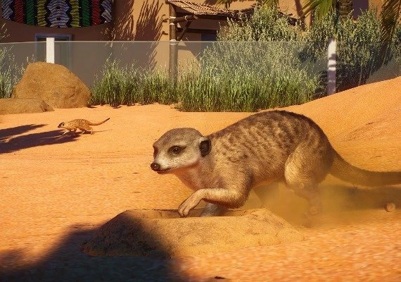Planet Zoo - Africa Pack DLC Global