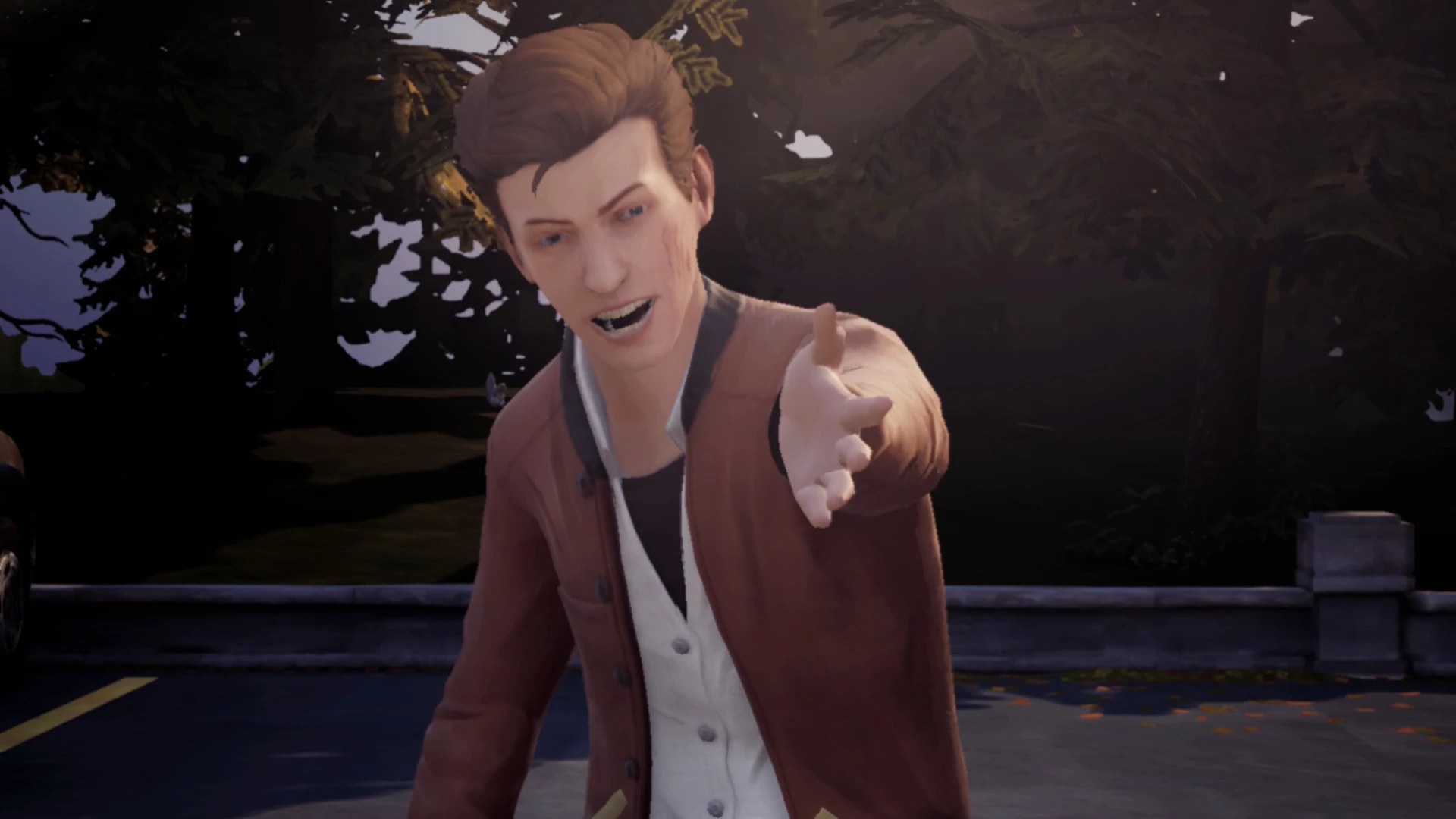 Lojë Nintendo Switch, Square Enix, Life Is Strange: Arcadia Bay Collection, koleksion 2 lojëra