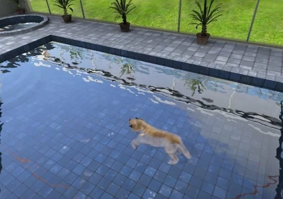 Paws and Claws: Pampered Pets EN Global