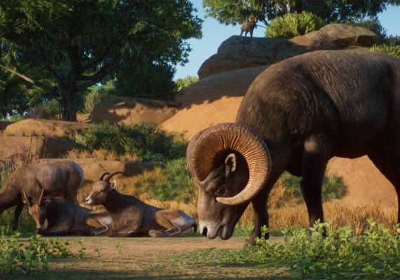 Planet Zoo - Americas Animal Pack DLC Global