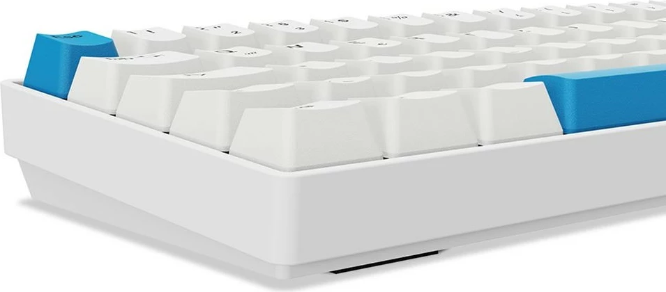 Tastierë gaming Sharkoon Skiller SGK50S4 Gen2, PBT, DE, RGB, e bardhë/blu