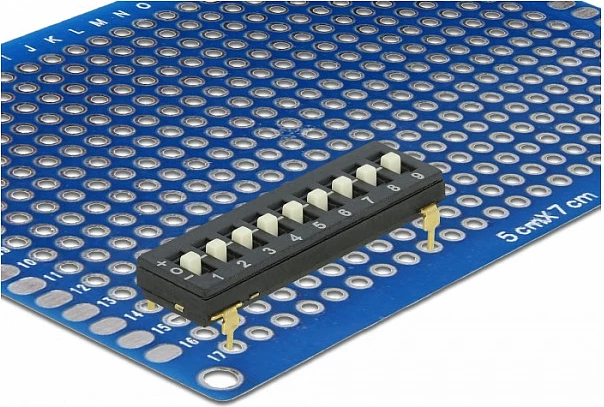 Switch DIP DeLOCK 66309, 10 pozicione, 2 copë, i zi