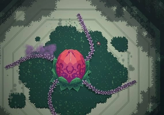 Titan Souls Special Edition EN/DE/FR/PT/ES Global