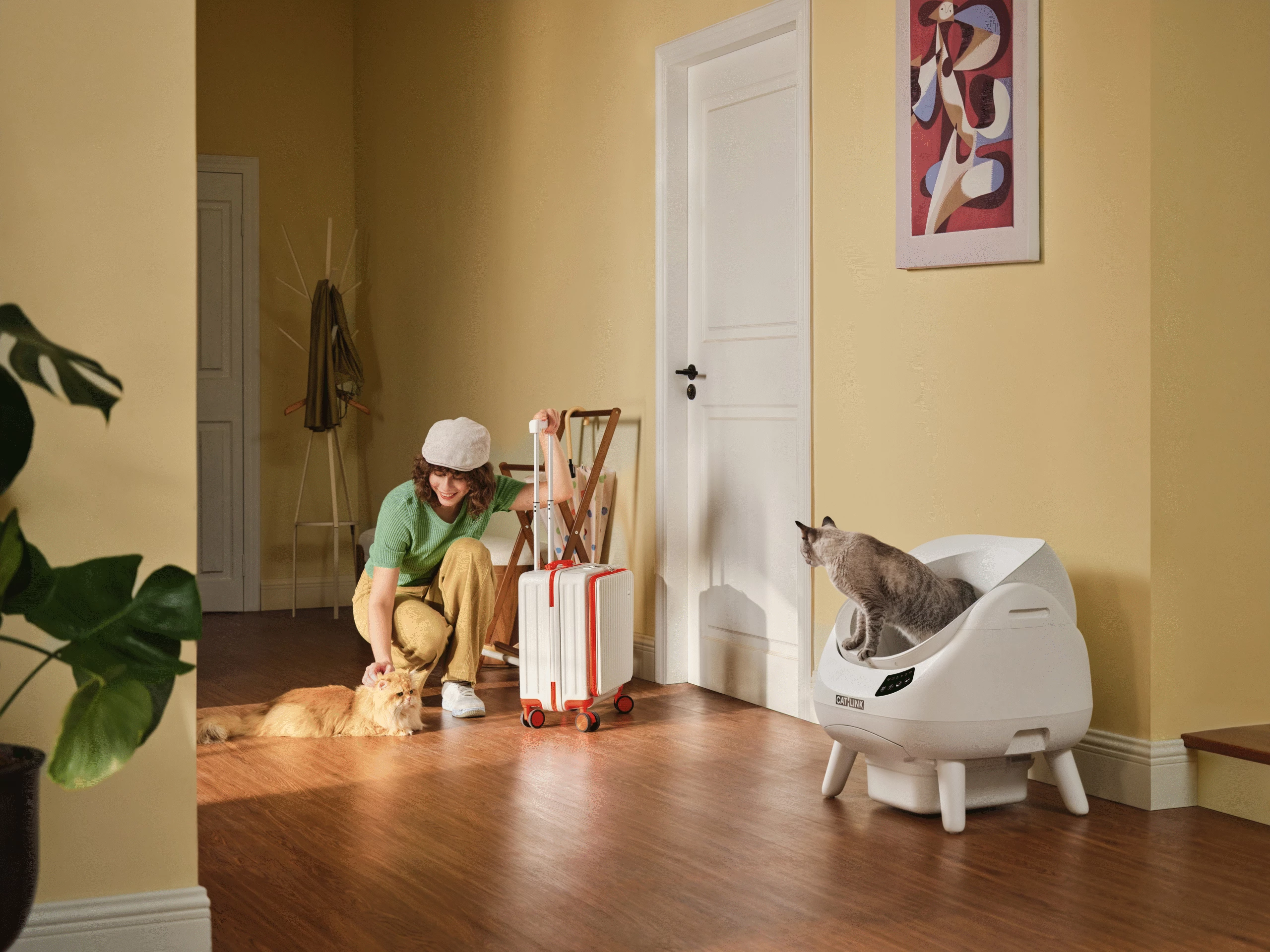 kuti rëre smart automatike për mace Catlink C08 Scooper OPEN-X, me Wi‑Fi/app, 4 L rërë + 12 L depo mbetjesh, gri
