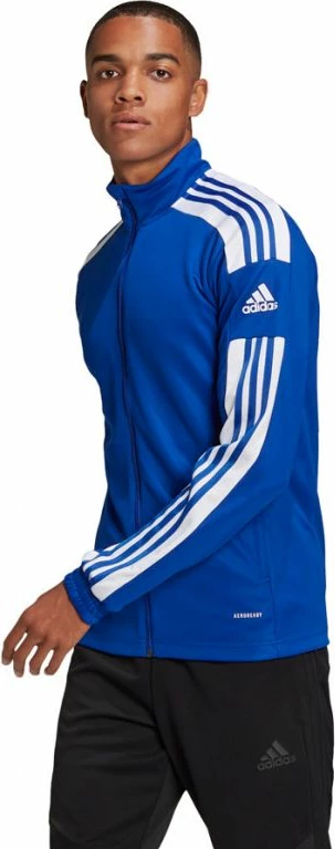 Duks adidas për meshkuj, blu [Madhësia: S]