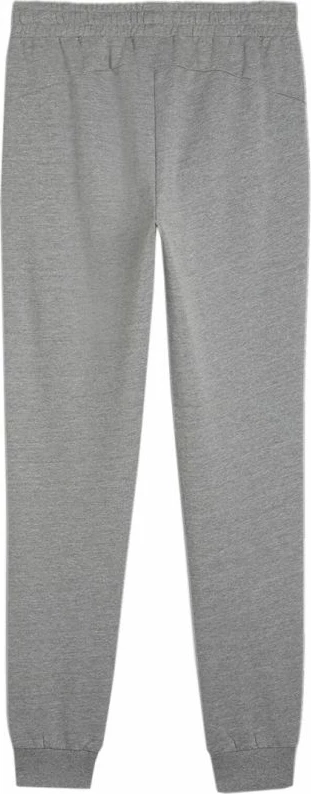 Pantallona sportive për meshkuj Puma, gri