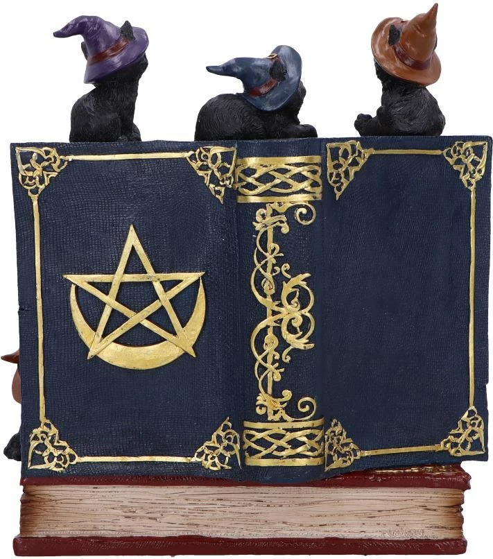 Figurinë dekorative NEMESIS NOW Coven Keepers, rezinë e pikturuar me dorë, assorted, 1 copë