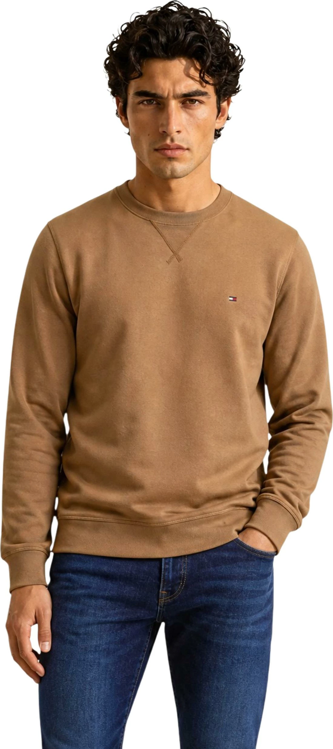 Duks për meshkuj Tommy Hilfiger ESS Seasonal Fleece MW0MW40000, kafe