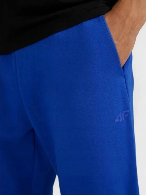 Pantallona sportive meshkuj 4F 4FWAW25TTROM1272