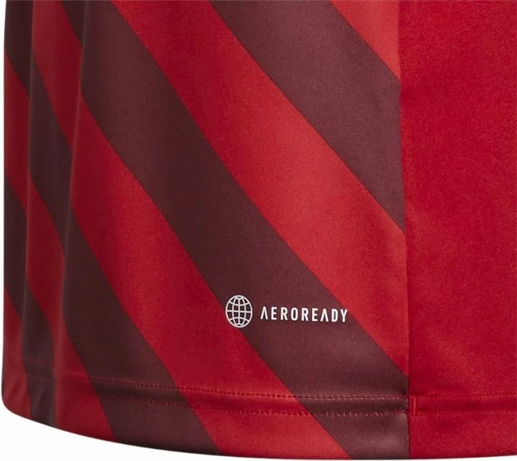 Fanellë futbolli për fëmijë adidas Entrada 22 Graphic, e kuqe