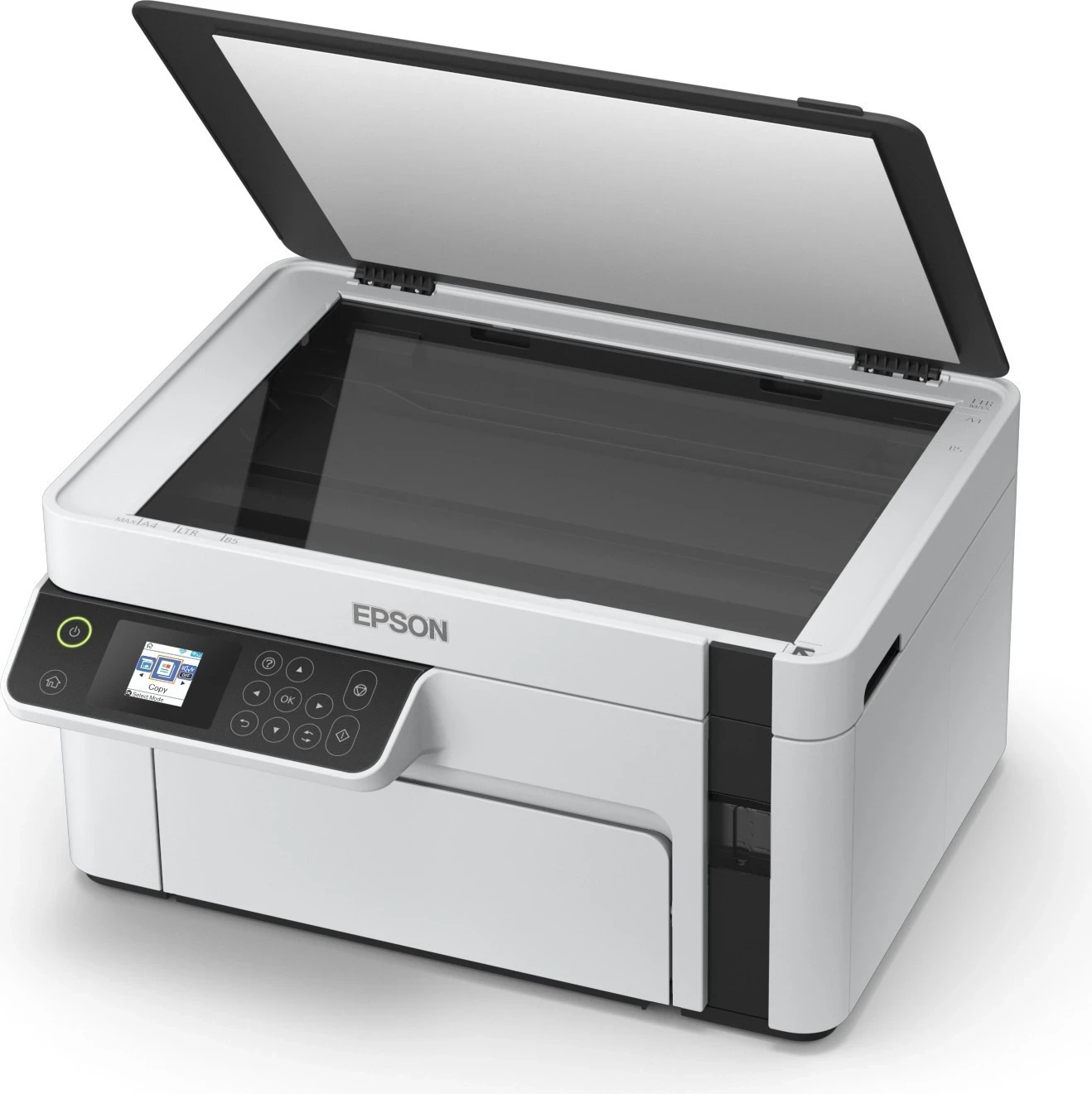 Printer Epson M2120, i bardhë