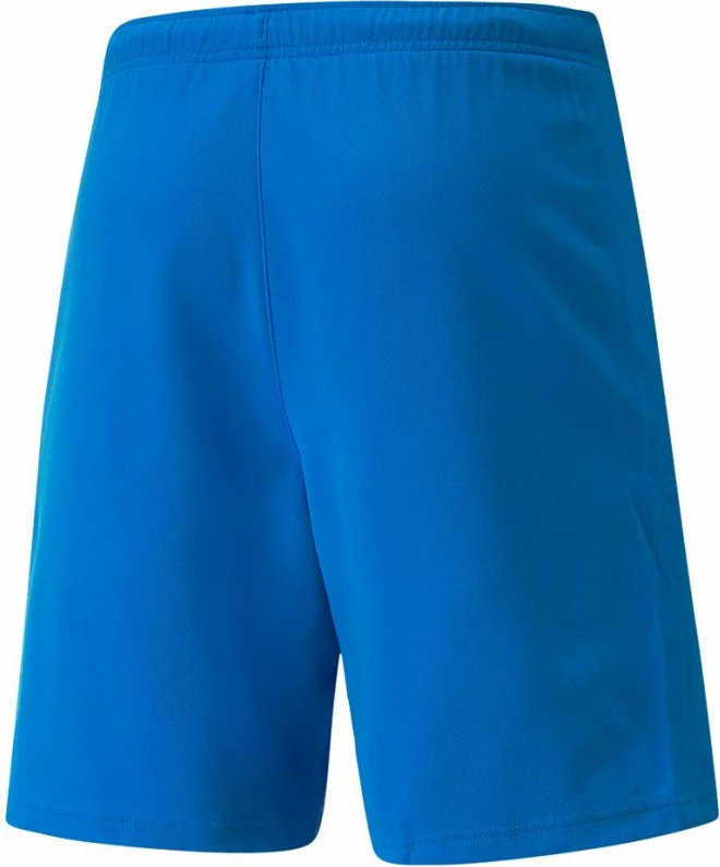 Shorce për Meshkuj Puma teamRISE, Blu Elektrik [Madhësia: XL]