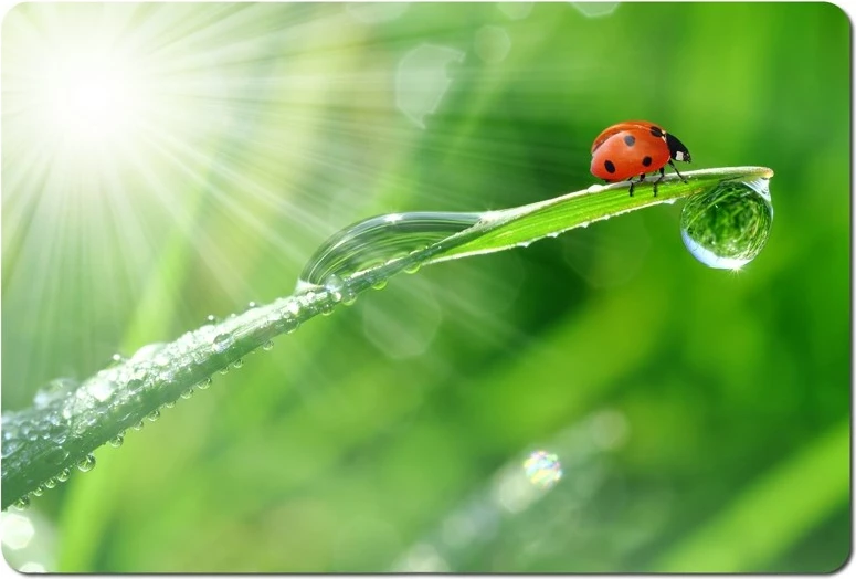 Mauspad Esperanza EA133