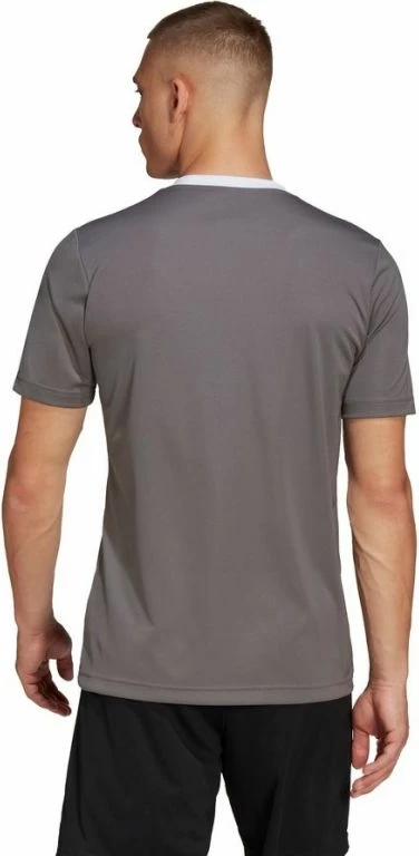 Maicë adidas për meshkuj, gri