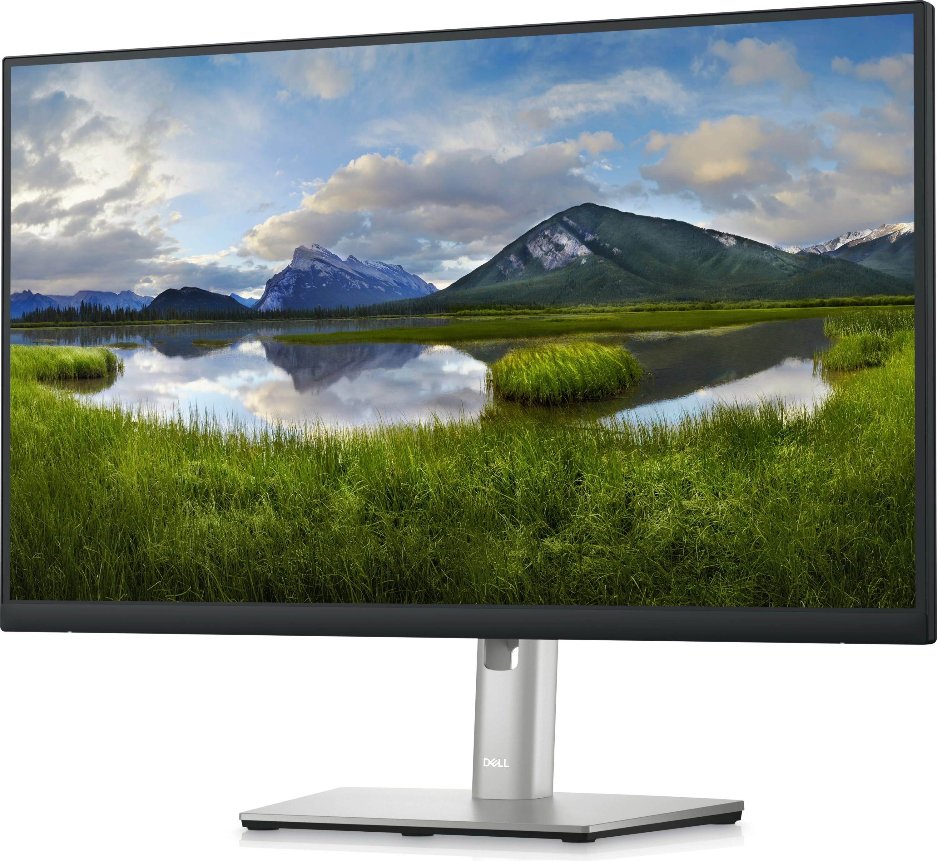 Monitor Dell P2423D, 23.8", QHD, 60Hz