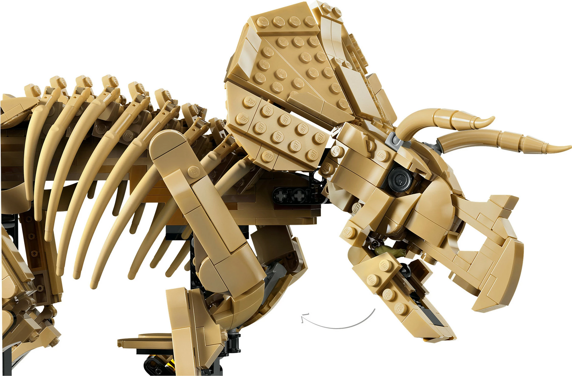 Set ndërtimi LEGO 77985 Dinosaur Fossil Triceratops, 1154 copë, 18+, multikolor