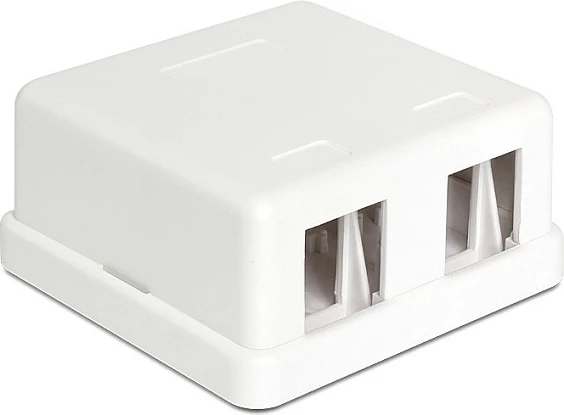 Kuti montimi DeLOCK 86207 për 2x Keystone, 61.5 x 59 x 28.5 mm, e bardhë
