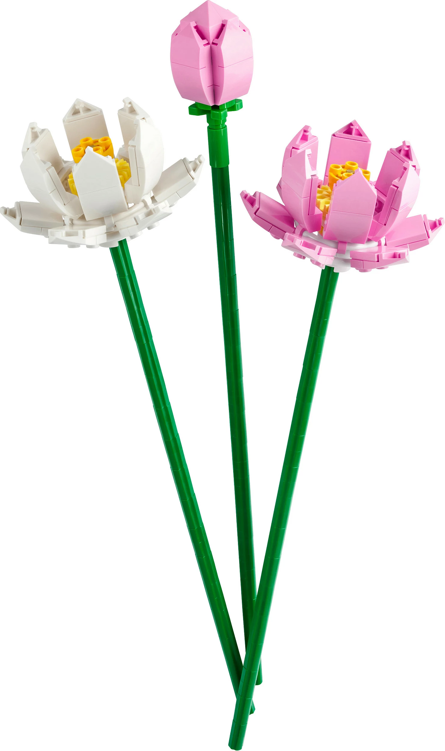 Set ndërtimi LEGO Lotus Flowers, 220 copë, plastikë, shumëngjyrësh