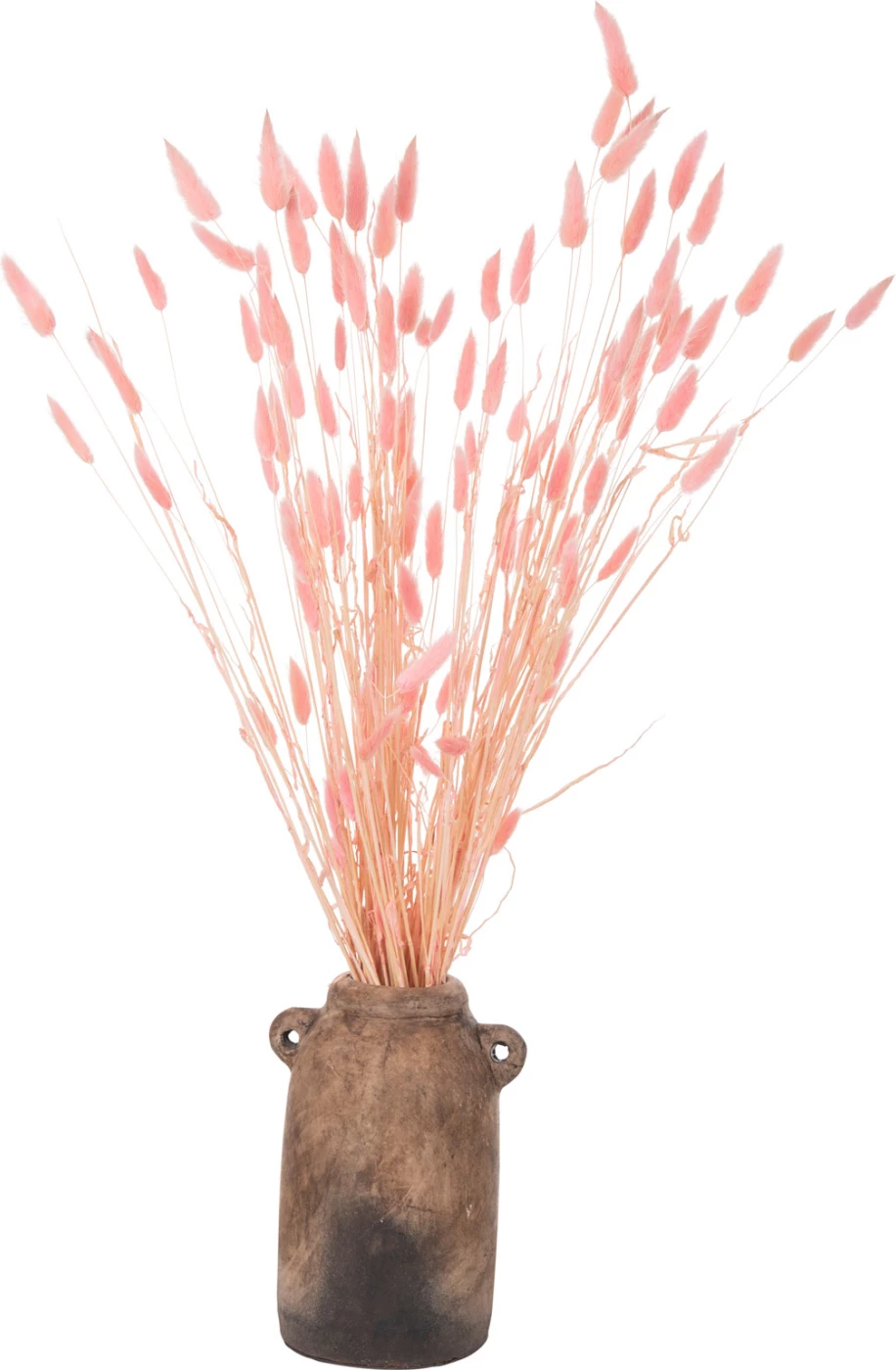 Buqetë dekorative e tharë, bisht lepuri, FH7960, rozë, 75H cm