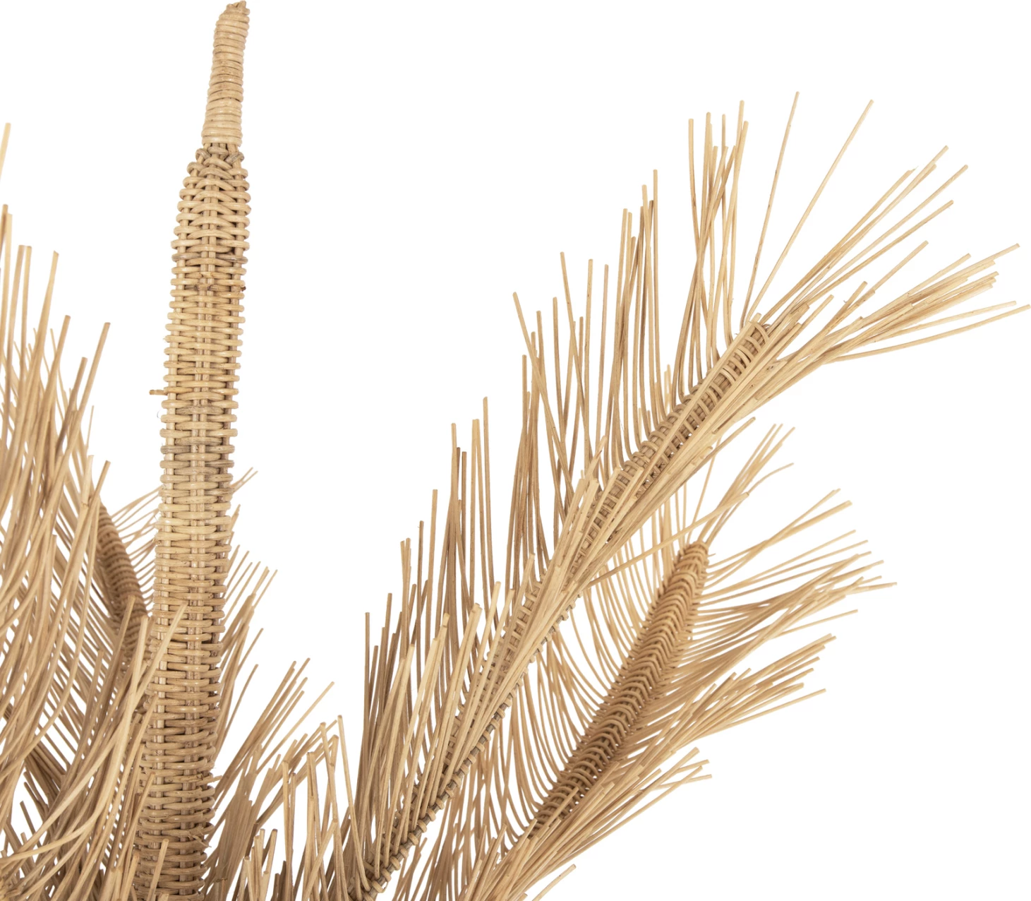 Pemë dekorative FH7871 rattan ngjyrë natyrale Φ110x180Hcm