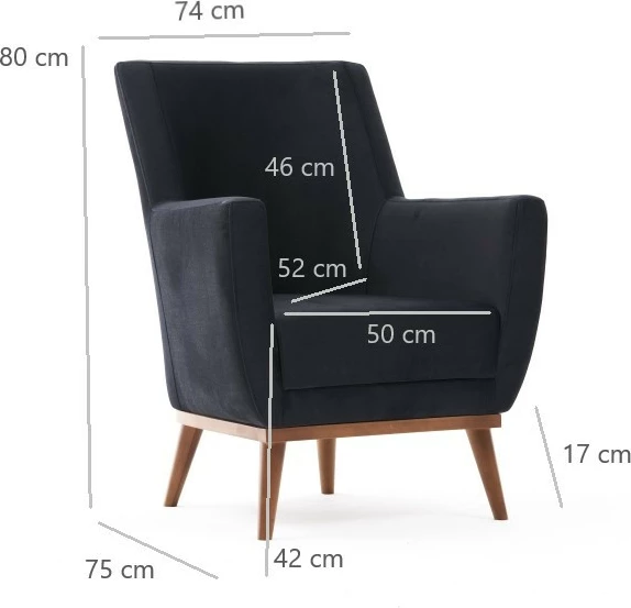 Karrige Wing Atelier del Sofa, Gonca, anthracite