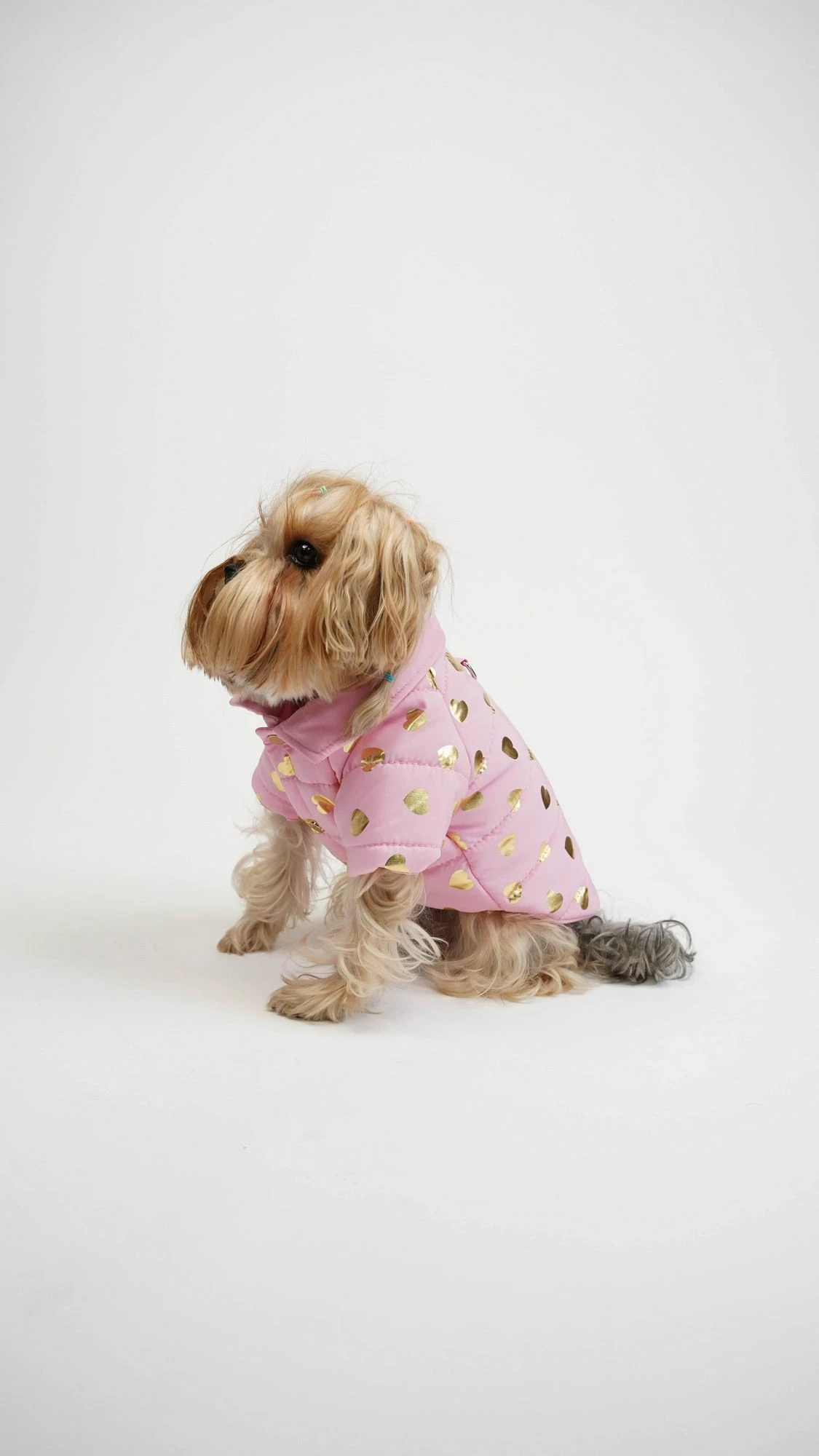 Hudi për qen, Paws & Whiskers, Amour Coat, rozë