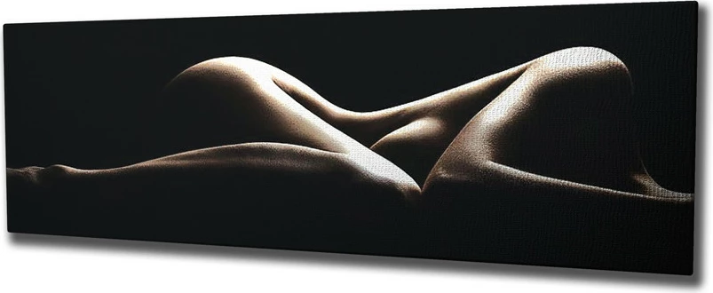 Pikturë dekorative në kanavacë, Wallity, PC230, shumëngjyrëshe, 30x80cm