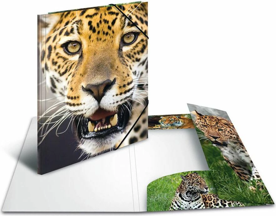 Dosje A4 Wantec Herma 7137, polipropilen, me llastik, dizajn leopard