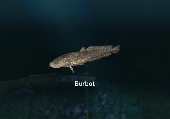 Ultimate Fishing Simulator - New Fish Species DLC Global